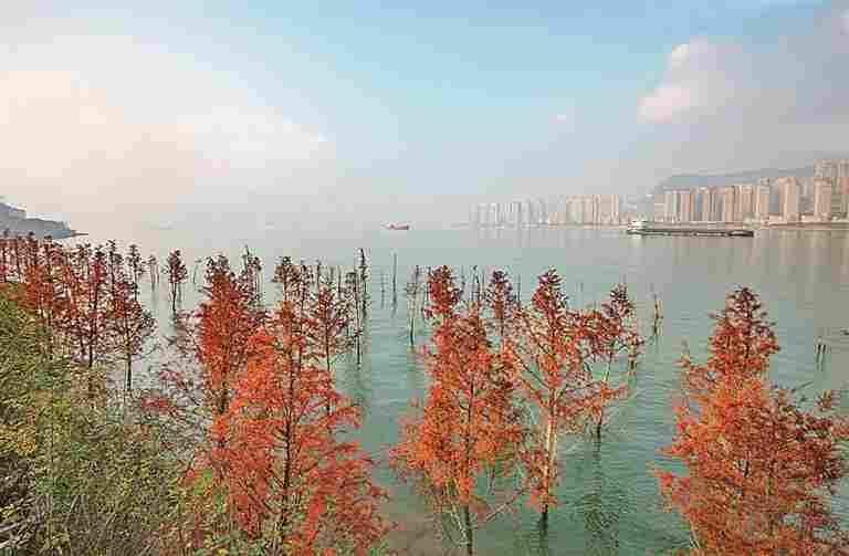 长江消落带的蝶变