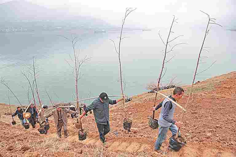 长江消落带的蝶变