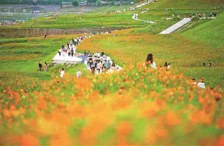 长江消落带的蝶变