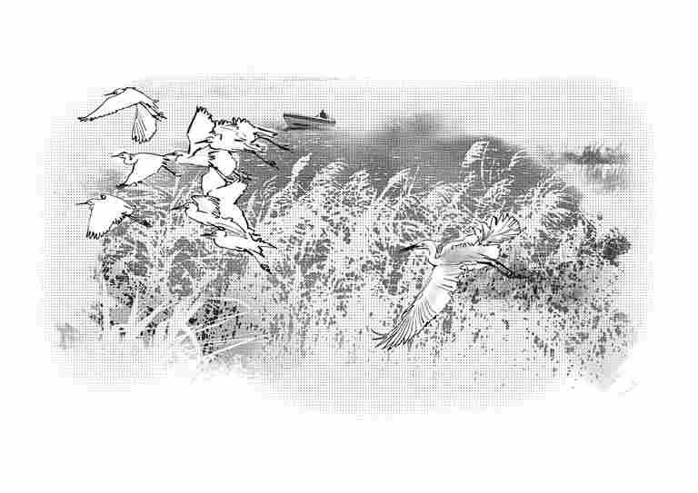 光明文化周末：淀上船家